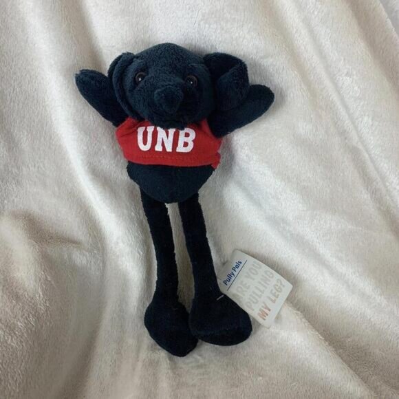 University Of New Brunswick UNB Pully Pals Stuffed Black Dog Toy Fun Memorabilia - Picture 4 of 9
